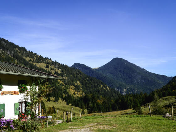 Niederhofer Alm