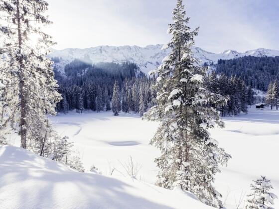Winterlandschaft Melköde