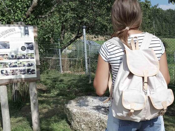 pechölstein besichtigen mühlviertel thauerböck