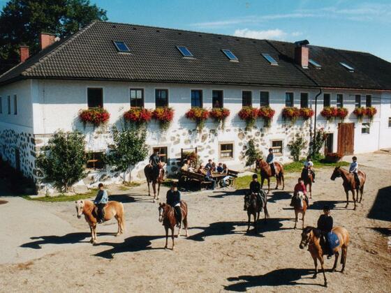 Reiterhof Stöglehner