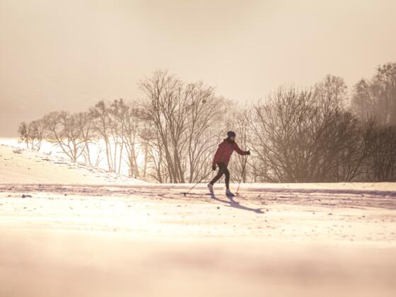 ATS-Winter