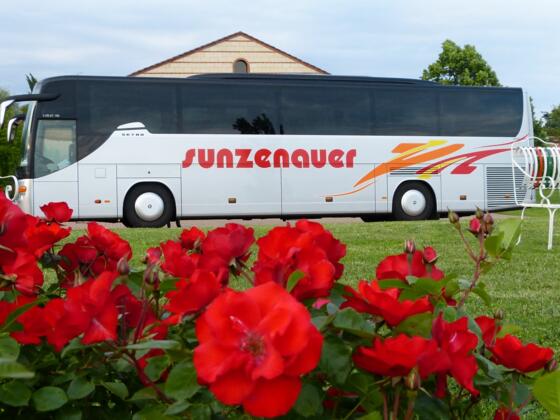 sunzenauer