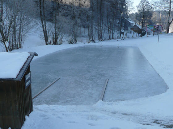 Eislaufteich_Sch%c3%b6nau_(c) Gemeinde Sch%c3%b6nau im M%c3%bchlkreis