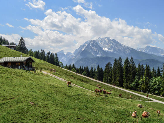Blick über die Jenner-Alm und das Beckhaus zum Watzmann