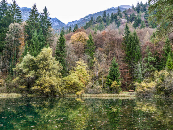 Herbst am Listsee Bad Reichenhall