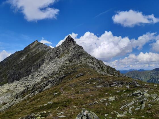 Graukogel vanaf Palfner Scharte