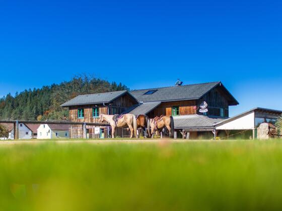 Moser Alm - Hausansicht