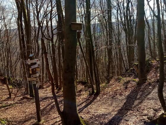 Hohes-Kreuz X-Oswald