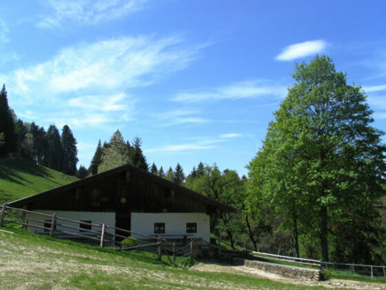 Herrenalm - © Chiemsee-Alpenland Tourismus