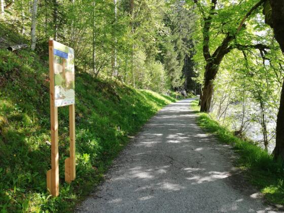 Entlang des Loferbachs stehen die Schautafeln