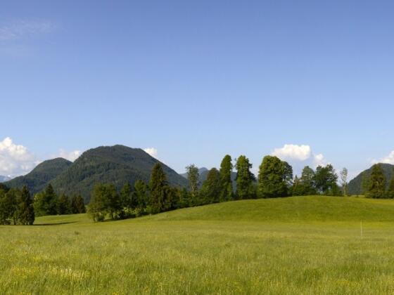 Bei der Mountainbikeauffahrt zum Schönberg im Isarwinkel