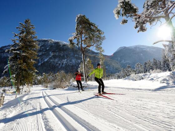 Langlaufen in Farchant am Fuße der Zugspitze