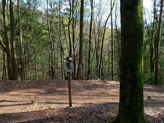 Pfaffenleitenweg-X-Fischersteig