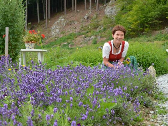 Kräuterführung mit Christine