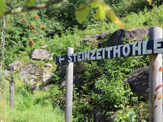 Steinzeithöhle im Tier-Freigelände des Nationalparkzentrum Falkenstein