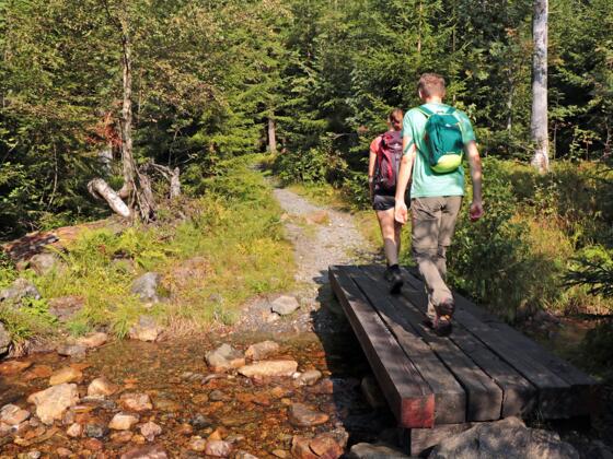 Wanderer unterhalb des Rachelsees