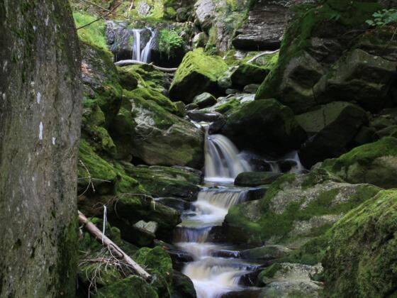 Große Ohe in der Steinklamm bei Spiegelau
