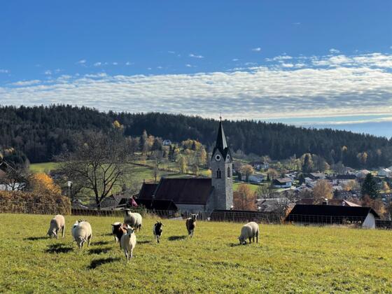 Neuschönau