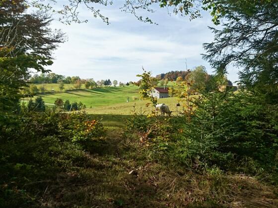 Wanderweg Stier