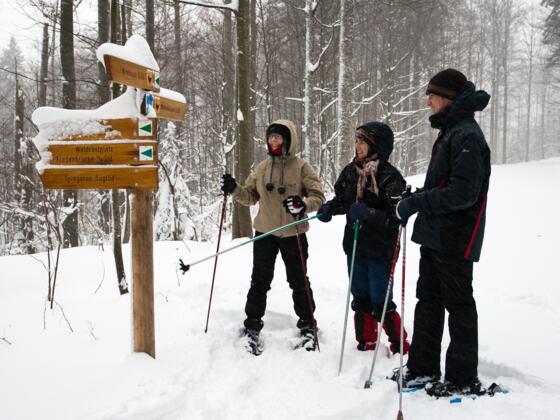 Mit Schneeschuhen im Winterwald