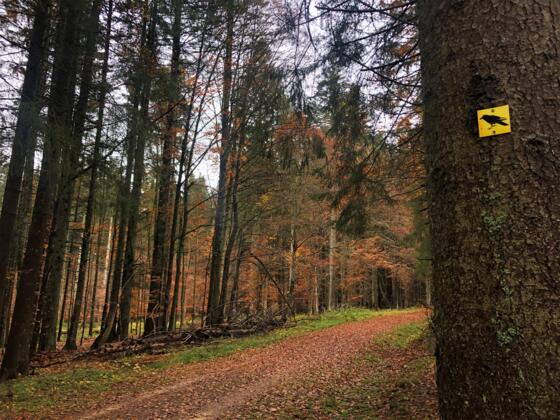 Wanderweg Kolkrabe