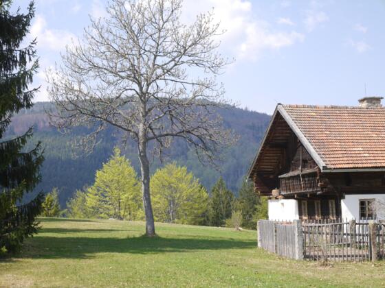 Freilichtmuseum Finsterau