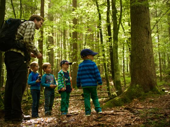 Unterwegs im Waldspielgelände