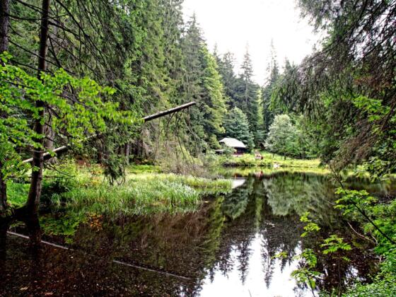 Höllbachschwelle