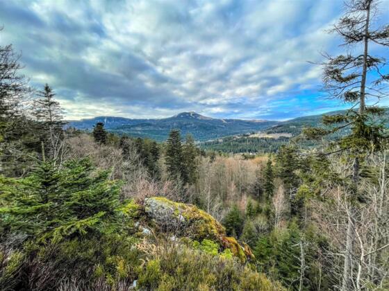 Rundweg Waldmaus - Blick vom Hochfels