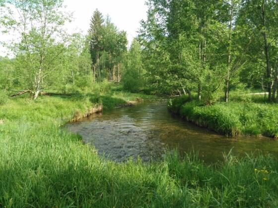 Am Kolbersbach