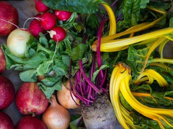 bioladen-23 (Mittel)