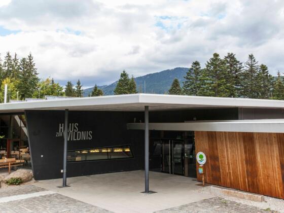 Haus zur Wildnis