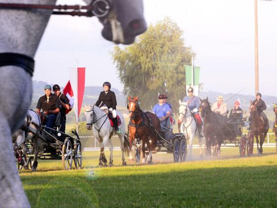 Union Reit- und Fahrverein Altenfelden