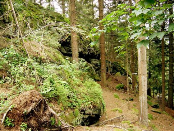 Drucker Franzl Stein | www.kraftort.org