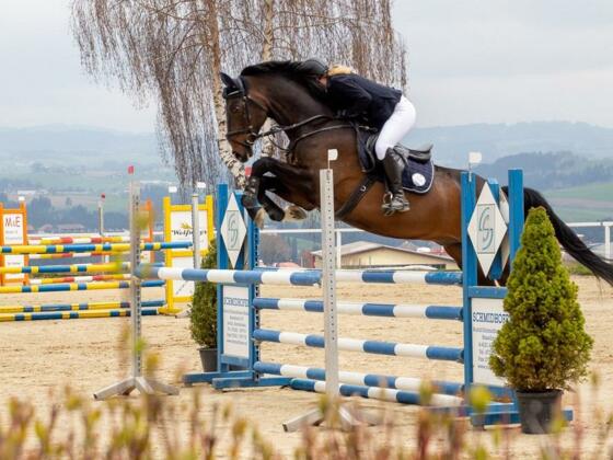 Reit- und Fahrverein Altenfelden