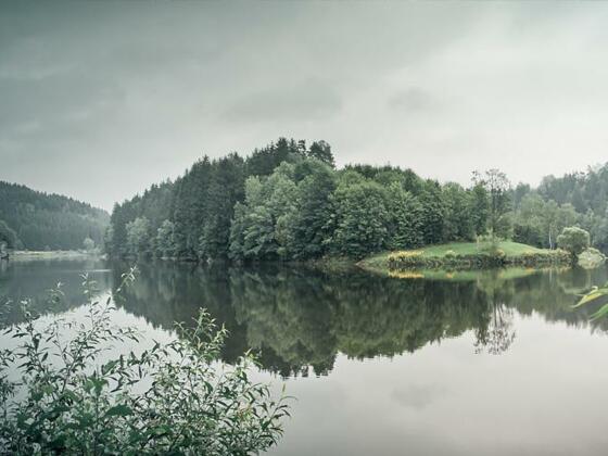 Fischen im Stausee Neufelden