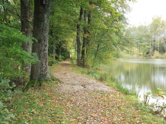 Ziegelteich Fischgewässer
