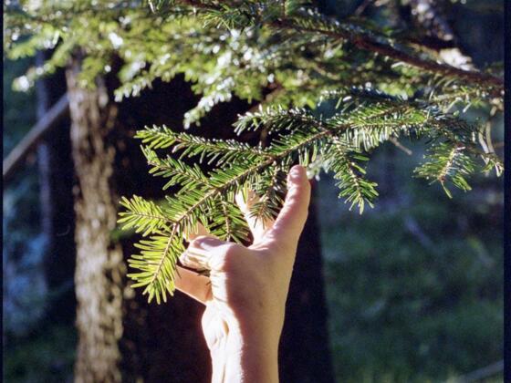 Spüren und mit allen Sinnen da sein
