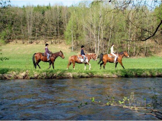 Kern Reiten an der Mühl
