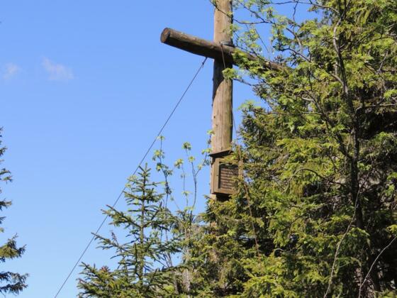 Schönbergkreuz im Sommer