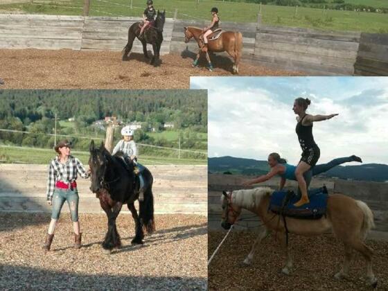 Reitstunden und Voltigieren