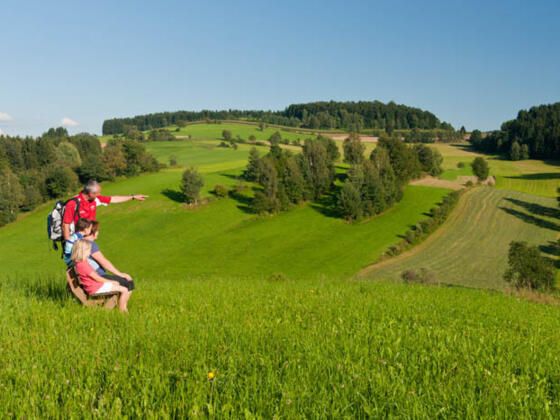 Nebelberger Rundweg