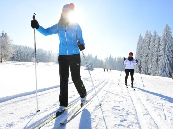 LanglaufenKlassisch_OberoesterreichTourismusGmbHAndreasRoebl