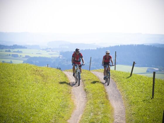Mountainbiken im Muehlviertel