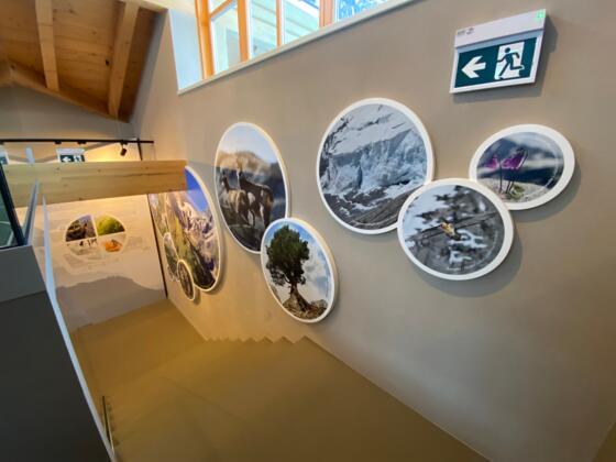 Nationalpark PUR Fusch