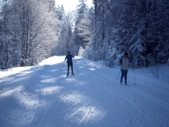Langlaufen in der Ferienregion Böhmerwald