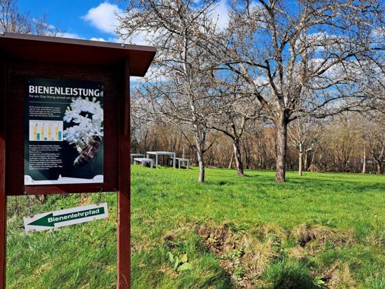 Bienenlehrpfad am Grünen Zentrum
