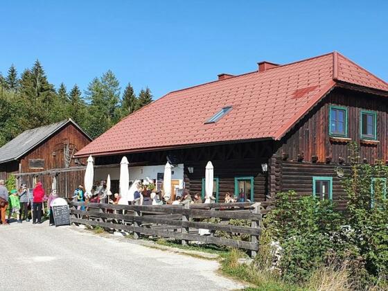 Blauer Hirsch im Herbst