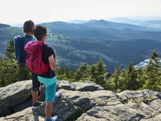Blick zum Kl. Arbersee