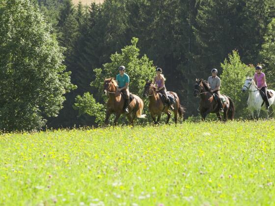 Reitweg Kollerschlag nach Bayern und retour